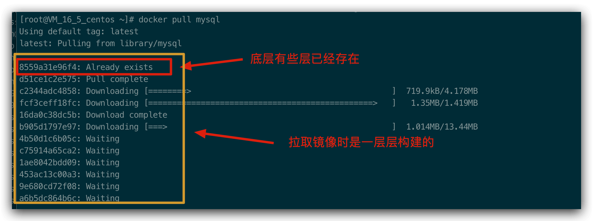 分层构建